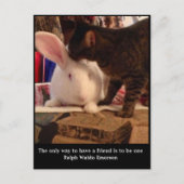 Wees een vriend Briefkaart (Voorkant)