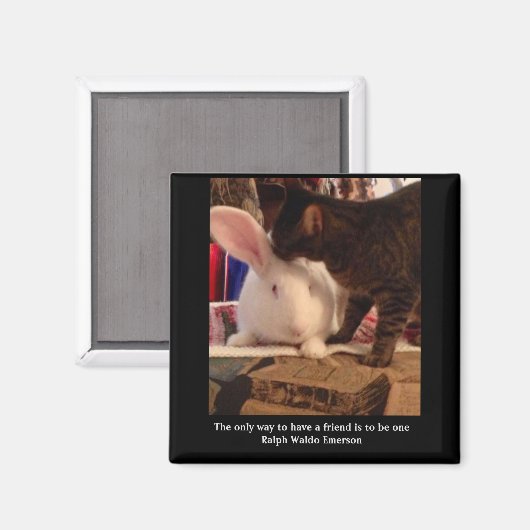 Wees een vriend Magnet (Voorkant / Achterkant)