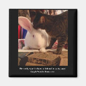 Wees een vriend Magnet (Voorkant)