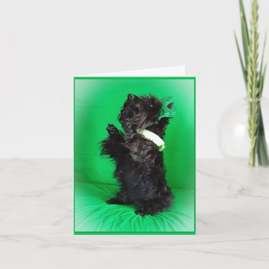 Wees een zegen kaart (Voorkant)