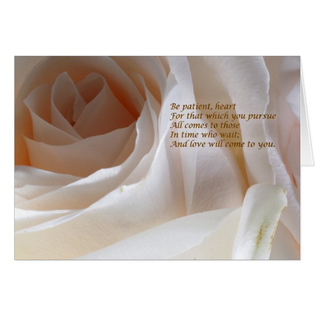 Wees geduldig Hart - Roos (Voorkant Horizontaal)