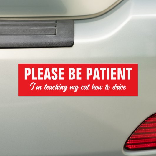 Wees Geduldig, Ik Leer Mijn Kat Autorijden Bumpersticker (Op auto)