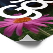 Wees geen Gekke gans, Gekke gans Poster (Hoek)