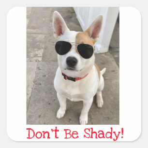 Wees geen schaduwrijke Schattigee hondenmagneet Vierkante Sticker