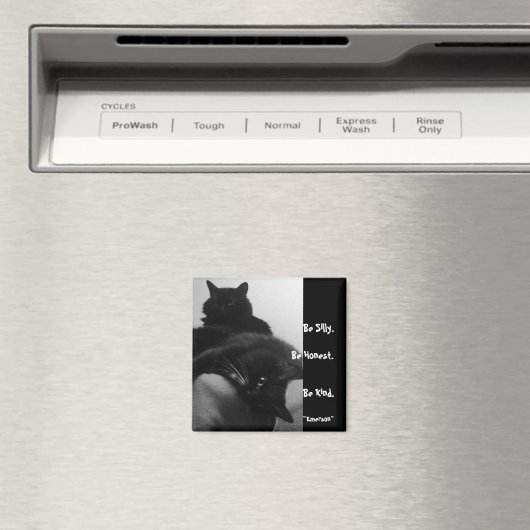 Wees Gekke Quote Magnet (Insitu (Vaatwasser))