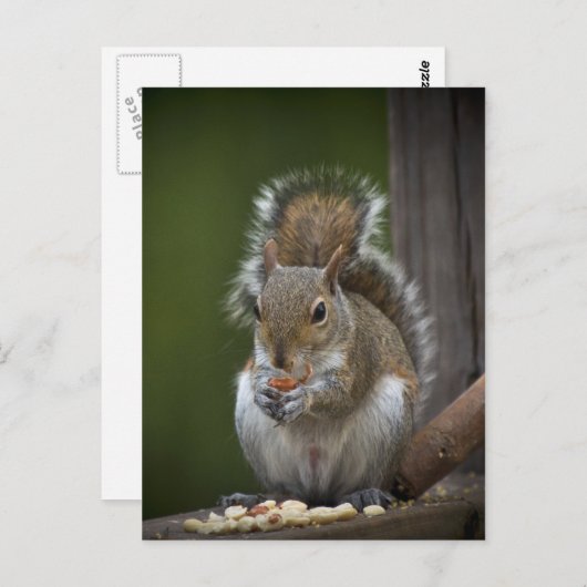 Wees heel stil briefkaart (Voorkant / Achterkant)