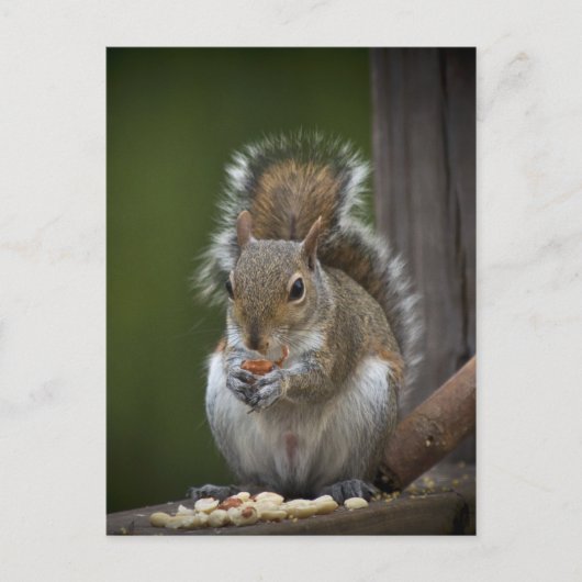 Wees heel stil briefkaart (Voorkant)