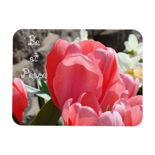 Wees in vrede magneten Lente Tulp Bloem Tuin (Horizontaal)