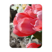 Wees in vrede magneten Lente Tulp Bloem Tuin (Verticaal)