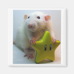 Wees je eigen ster magneet