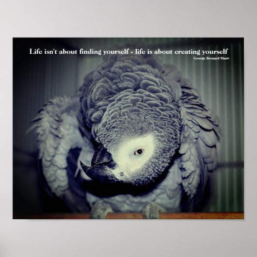 Wees Jezelf Schattige Papegaai Inspirerende Spreuk Poster (Voorkant)