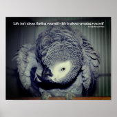 Wees jezelf Schattige Parrot Inspirerend Quote Poster (Voorkant)