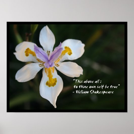 Wees jezelf trouw inspirerende quote poster (Voorkant)