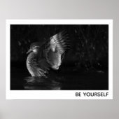 Wees jezelf Vrouw Mandarin Duck Black White Foto Poster (Voorkant)