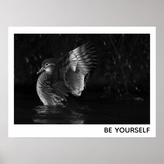 Wees jezelf Vrouw Mandarin Duck Black White Foto Poster (Voorkant)