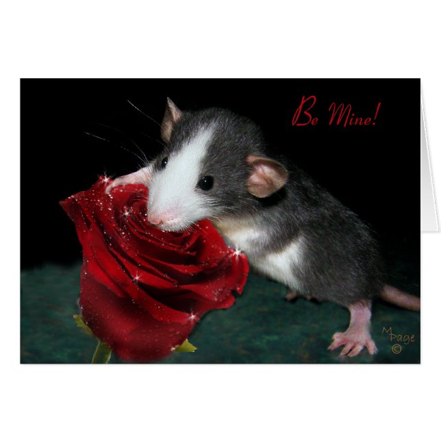 Wees mij. (Voorkant Horizontaal)