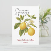 Wees mijn belangrijkste squeeze grappige Valentijn Feestdagenkaart (Staand voorkant)