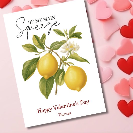 Wees mijn belangrijkste squeeze grappige Valentijn Feestdagenkaart