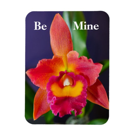 Wees mijn Oranje orchidee Flexible Magnet Magneet (Verticaal)