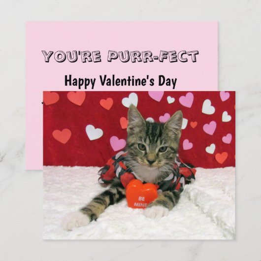 Wees mijn Valentijn - Bandit Cat / Kitten - Platte Feestdagenkaart (Voorkant / Achterkant)