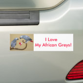 Wees mijn Valentijn! Bumpersticker (Op auto)