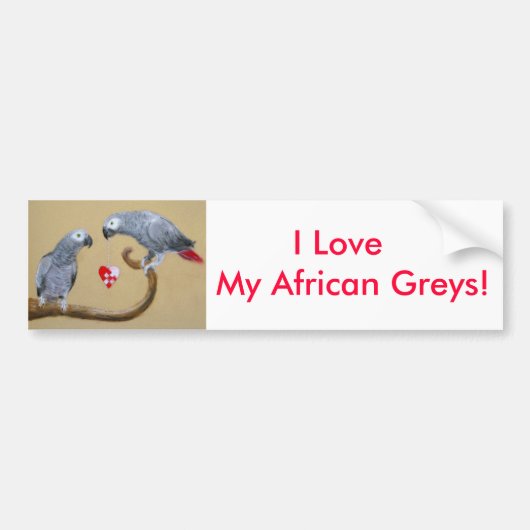 Wees mijn Valentijn! Bumpersticker (Voorkant)