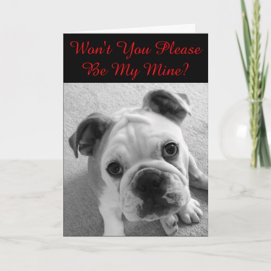 Wees mijn Valentijn Feestdagen Kaart (Voorkant)