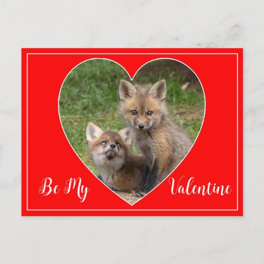 Wees mijn Valentijn Foxes Briefkaart (Voorkant)