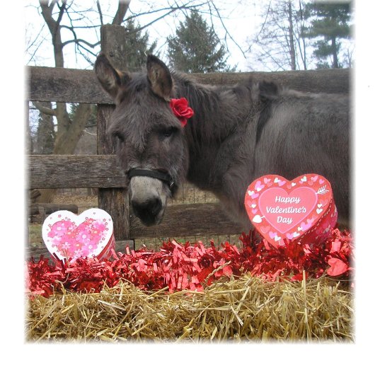 "Wees mijn Valentijn!" kerstkaart Feestdagen Kaart