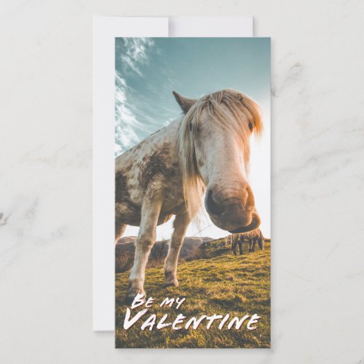 Wees mijn Valentijn met kijkend paard (Voorkant)