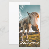Wees mijn Valentijn met kijkend paard (Voorkant / Achterkant)