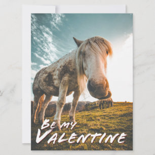 Wees mijn Valentijn met kijkend Paard
