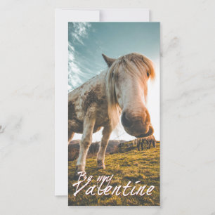 Wees mijn Valentijn met kijkend Paard V2.0