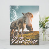 Wees mijn Valentijn met kijkend Paard V2.0 (Staand voorkant)