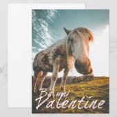 Wees mijn Valentijn met kijkend Paard V2.0 (Voorkant / Achterkant)