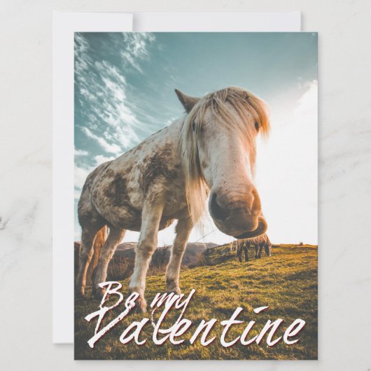 Wees mijn Valentijn met kijkend Paard V2.0 (Voorkant)
