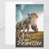 Wees mijn Valentijn met kijkend Paard V2.0 (Voorkant / Achterkant)