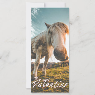 Wees mijn Valentijn met kijkend Paard V2.0