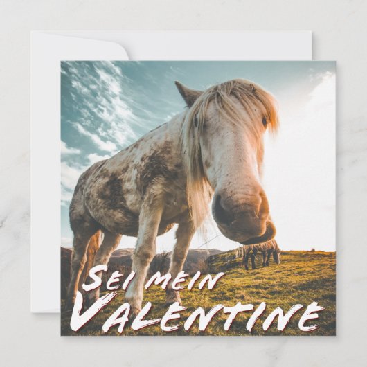 Wees mijn Valentijn met paard dat kijkt (Voorkant)