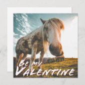 Wees mijn Valentijn met uitziende paarden (Voorkant / Achterkant)