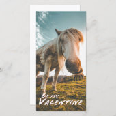 Wees mijn Valentijn met uitziende paarden (Voorkant / Achterkant)
