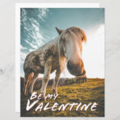 Wees mijn Valentijn met uitziende paarden (Voorkant / Achterkant)