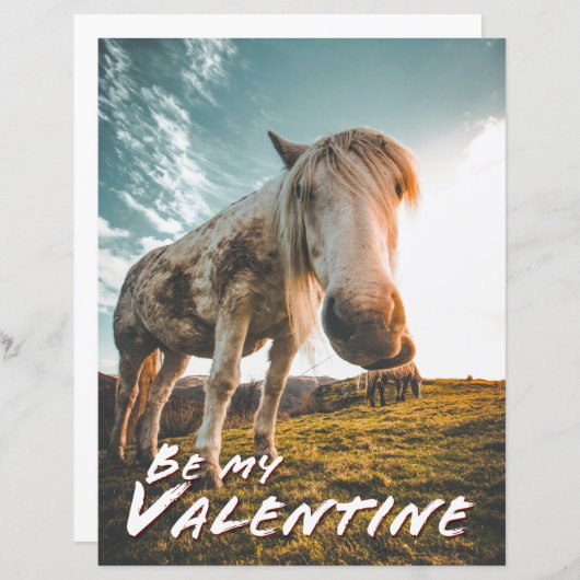 Wees mijn Valentijn met uitziende paarden (Voorkant / Achterkant)