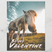 Wees mijn Valentijn met uitziende paarden (Voorkant)
