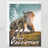 Wees mijn Valentijn met uitziende paarden (Voorkant / Achterkant)
