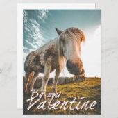 Wees mijn Valentijn met uitziende paarden V2.0 (Voorkant / Achterkant)