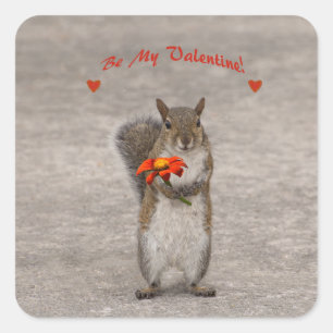 Wees mijn Valentijn uit de eekhoorn Vierkante Sticker