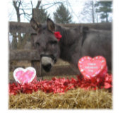 "Wees mijn Valentijn!" Vakantiedagen Kaart