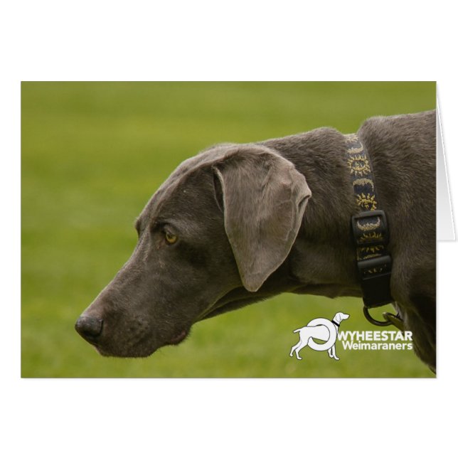 Wees niet bang (Voorkant Horizontaal)