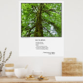 Wees niet bang.inspirerend poster (Keuken)